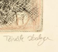 Török Ibolya (?- ): Kilátás, színezett rézkarc, jelzett, üvegezett fa keretben, 17×11,5 cm