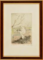 Török Ibolya (?- ): Kilátás, színezett rézkarc, jelzett, üvegezett fa keretben, 17×11,5 cm