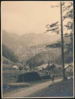 1931 Magas-Tátra (Felvidék), tájrészletek, 3 db szép állapotú fotó, 23,5×17,5 cm