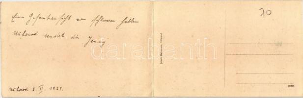 1923 Ungvár, Uzshorod, Uzhorod; kihajtható panorámalap, rajta Görögkatolikus székesegyház és püspöki...