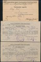 1945-1946 a szegedi rendőrfőkapitányság tartózkodási engedélye illetve igazolásai zsidó személyek részére, 3 db