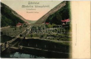 1904 Lillafüred (Miskolc), nyaralótelep, villák. Kiadja Lövy József fia 770.