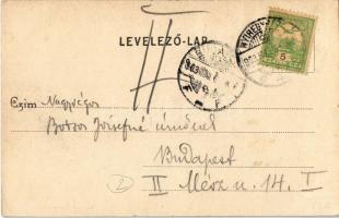 1903 Nyíregyháza, Vármegyeháza. Kiadja Piringer János (EK)