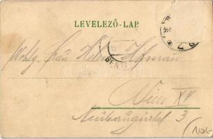 Budapest VI. Andrássy út, Opera. Erdélyi cs. és kir. udv. fényképész felvételei után. litho (Rb)