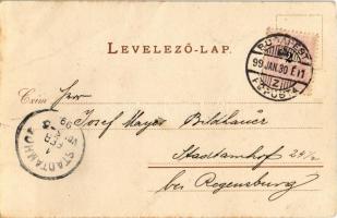 1899 Budapest V. Petőfi szobor. Rigler rt. litho (EK)