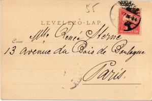 "Iris" oldalkerekes gőzös Esztergomnál a Dunán / "Donaufahrten" An Bord des Damp...