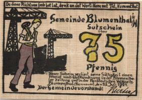 Német Birodalom/Weimari Köztársaság/ Blumenthal 1921. 25Pf, 50Pf, 75Pf 3klf teljes sor T:I