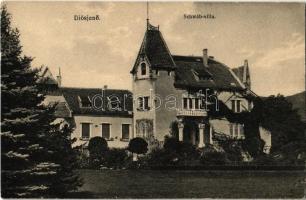 Diósjenő, Schwáb villa