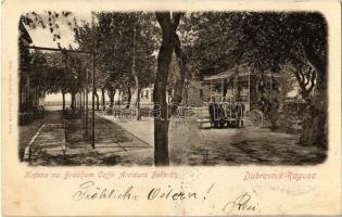 1902 Dubrovnik, Ragusa; Kávéház / Kafana na Brsaljam / Caffé Arciduca Federich / cafe