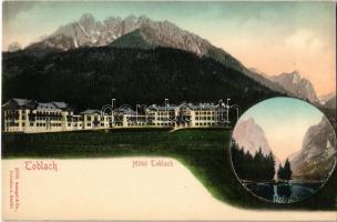 Dobbiaco, Toblach (Südtirol); Hotel Toblach, Toblach See / Lago di Dobbiaco / lake