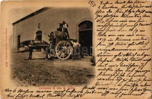 Sicilia, Sicily; Caricatore di vino / wine barrel transportation with horse cart (EK)