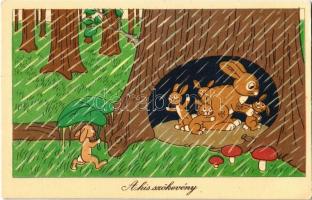 9 db MODERN humoros grafikai lap / 9 modern humorous graphic art motive postcards