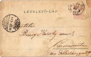 1898 Dunaszerdahely, Dunajská Streda; Gőzmalom, Nagy tőzsde, Római katolikus templom. Kiadja Goldste...