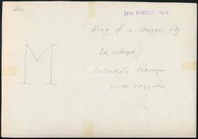cca 1934 Kinszki Imre (1901-1945) budapesti fotóművész pecséttel jelzett vintage alkotása, a szerző ...