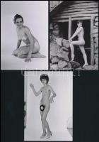 cca 1984 Zenére komponált szolidan erotikus felvételek, 7 db vintage negatív + 4 db vintage fotó és/...