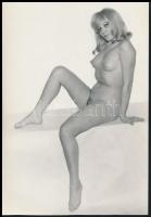 cca 1974 Hófehérke fotózkodik, szolidan erotikus felvételek, 7 db vintage fotó, kettőn hajtásnyom, 1...