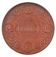 Románia 1881. "I. Károly / Mezőgazdasági és Ipari Díjérem" Br emlékérem. Szign.: W. Kullri...