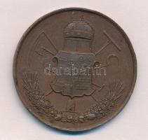 ~1900. "Érdemdíj a Kolozsvári Gazdászati Kiállításról" Br emlékérem. Szign.: F. Gaul (53mm...