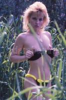 cca 1988 Profizmus bugyiban és anélkül, szolidan erotikus felvételek, 13 db vintage diapozitív, 24x3...