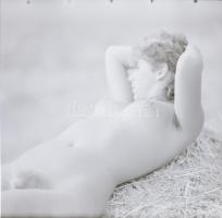 cca 1986 Menesdorfer Lajos (1941-2005) budapesti fotóművész hagyatékából, 13 db vintage negatív, 6x6...