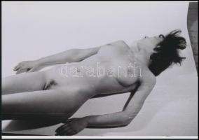 cca 1979 Semmi akadálya, szolidan erotikus felvételek, 8 db vintage negatív + 2 db mai nagyítás, a negatívok és a papírképek között nincs összefüggés, 6x6 cm és 25x18 cm között