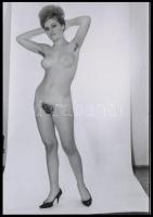 cca 1977 A test és az akarat szabadsága, szolidan erotikus felvételek,7 db vintage negatív + 2 db ma...