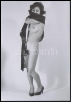 cca 1977 Jöhet bármi, lehet, legyen..., szolidan erotikus felvételek, 13 db vintage negatív + 2 db v...