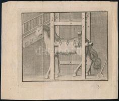 XVIII. sz.: Törött lábú ló gyógyítására szolgáló állvány rézmetszetű képe. 15,5 x 12,5 cm