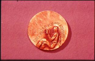 József Attila 1905-1937. Válogatás a költő születésénak 75 évfordulójára a Magyar Képző- és Iparművé...