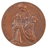 DN "Heim Pál 1875-1929 / Országos Stefánia Szövetség Anyák és Csecsemők Védelmére" kétolda...