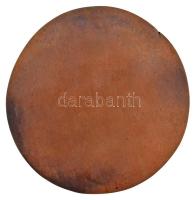 Szathmáry Gyöngyi (1940-) DN "Kós Károly 1883-1977" egyoldalas, öntött Br plakett (114mm) ...