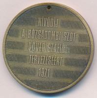 1971. "Középülettervező Vállalat 1949 - Nívódíj" Br plakett (44mm) T:2- lyuk
