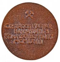 1967. "Soltz Vilmos 1833-1901 / Országos Magyar Bányászati és Kohászati Egyesület" Br emlé...