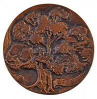 Paál István (1935-2010) 1989. "Bábolna 1789-1989 / Ültetve 1710" kétoldalas Br emlékérem (...