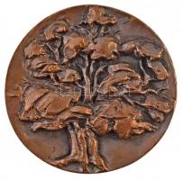 Martsa István (1899-1986) 1964. "Bábolnai Állami Gazdaság" kétoldalas Br plakett (~86mm) T...