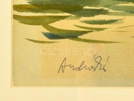 Andruskó jelzéssel: Balaton parti nádas. Akvarell, papír, üvegezett keretben, 25×39 cm