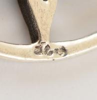 Ezüst(Ag) nyaklánc medállal, jelzett, h: 42 cm, d: 2,5 cm, nettó: 14,5 g