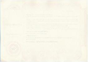 DN "EKISZ Ruházati Szövetkezet" - 100.000 Ft. névre szóló értékpapír (3x) sorszámkövetők, ...