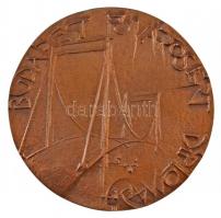 DN "SZIE Ybl Miklós Műszaki Kar 1879 / Budapest Fővárosért Diplomadíj" kétoldalas, öntött ...