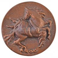 Csúcs Ferenc (1905-1999) 1949. "Dr. Vidonyi Miklós 1949" kétoldalas, öntött Br emlékérem (...