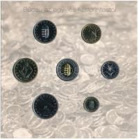 2008. 1Ft-100Ft (7xklf) "Búcsú az egy- és kétforintostól" forgalmi sor dísztokos szettben ...