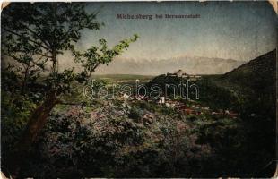 1915 Kisdisznód, Michelsberg, Cisnadioara; Michelsberg bei Hermannstadt. Chromophot v. Jos. Drotleff (kopott sarkak / worn corners)