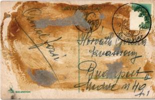 Szatmárnémeti, Szatmár, Satu Mare; Kossuth kert a faipari iskolával / park, woodworking school + 194...