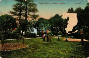 1911 Szászsebes, Mühlbach, Sebesul Sasesc, Sebes; Erlenpark / park. Kiadja A. Gross / park (felületi sérülés / surface damage)