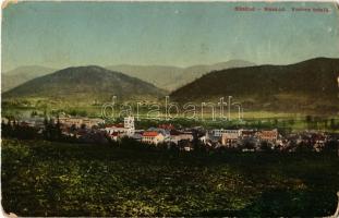 1912 Naszód, Nasaud; Vedere totala / látkép. Kiadja M. Onisor / general view (kopott sarkak / worn corners)