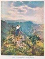 Szeghalmy Gyula: Dunántúli vármegyék. Az előszót írt József Főherceg. A II. részben Baranya vármegye...