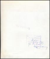 Űrhajósokat ábrázoló fotók, 3 db hátoldalon jelzett fotó, 9×13,5 és 21×18 cm közötti méretekben