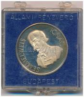 Kiss Nagy András (1930-1997) 1997. "Orvos sor / Semmelweis Ignác" jelzetlen, ezüstözött? e...