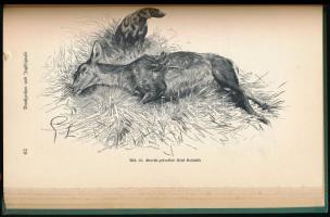 Walter Frevert: Jagdliches Brauchtum. Berlin, 1939, Paul Parey, 142+2 p. Harmadik kiadás. Német nyel...