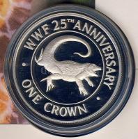 Turks & Caicos szigetek 1988. 1C Ag "Iguana" érmés, bélyeges borítékon "Berlini á...